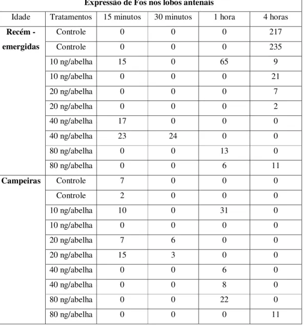 Tabela 4: Análise quantitativa da expressão da proteína Fos nos lobos antenais. 