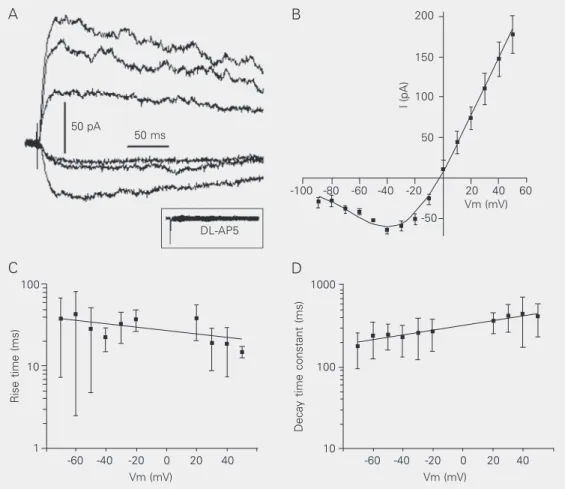 Figure 1. N-methyl-D-aspartate (NMDA) receptor-mediated currents recorded from secondary neurons of the nucleus tractus solitarius of the rat