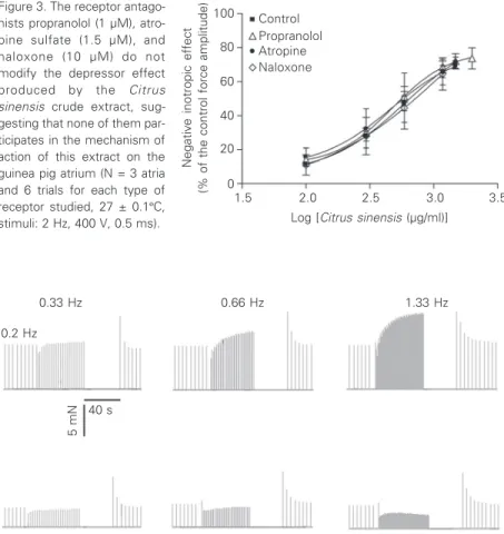 Figure 4. Membrane calcium inward current of isolated atria. The upper panels show the Bowditch positive staircase obtained with the control solution by pacing the atrium at the following rates: 0.33, 0.66, and 1.33 Hz