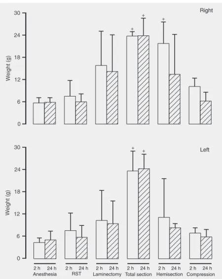 Figure 3. Effects of spinal cord lesion on paw compression test on left and right paws.