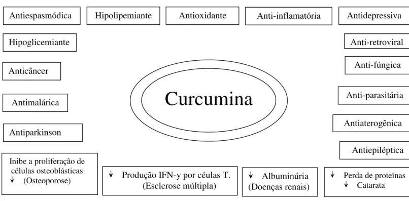 Figura 7. Efeitos benéficos da curcumina em várias patologia. 