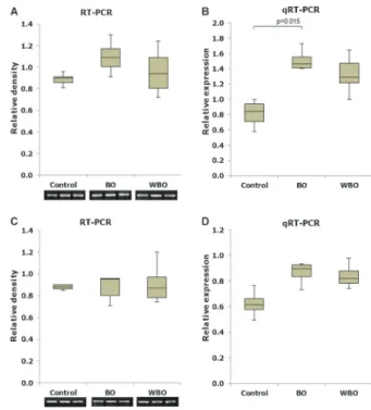 Figure 4. Gene expression profile of TGF-b1 from control rats, BO and WBO parenchymas