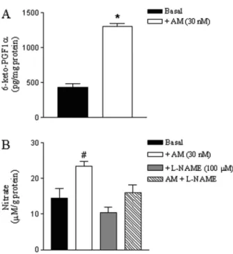 Figure 8. 6-keto-PGF 1a and nitrate levels in rat cavernosal smooth muscle strips stimulated with adrenomedullin (AM)