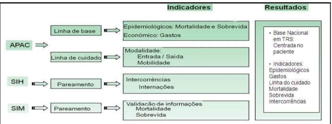 FIGURA 1 – Construção da Base Nacional em TRS (CHERCHIGLIA et al., 2007) 