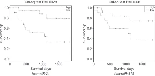 Figure 1. Survival analyses of hsa-miR-21 and hsa-miR-375 in esophageal squamous-cell carcinoma patients.
