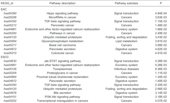 Table 2. KEGG pathway enrichment analysis for the differentially expressed target genes of selected miRNAs in esophageal adenocarcinoma (EAC) and squamous-cell carcinoma (ESCC).