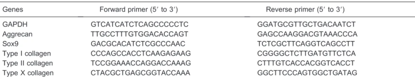 Table 1. Genes and primer design for quantitative real-time polymerase chain reaction analysis.