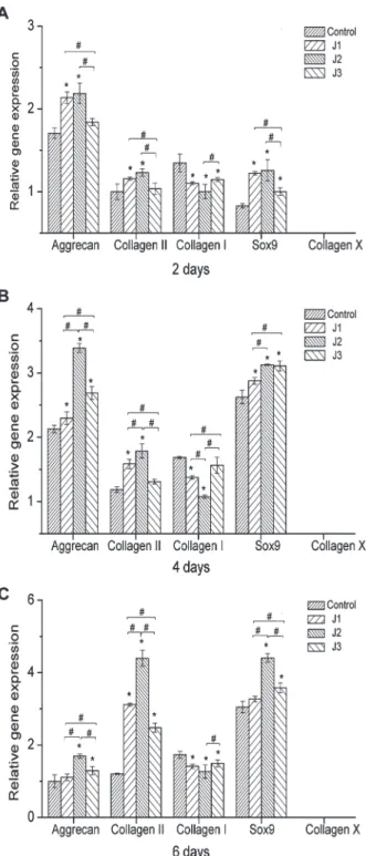 Figure 9. Quantitative comparison of extracellular matrix-related gene expression by quantitative real-time polymerase chain reaction