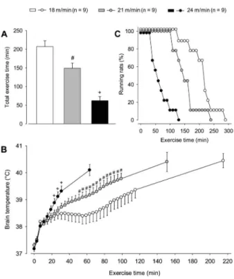 Figure 2. Total exercise time (panel A) and cortical brain temperature (panel B) of rats subjected to constant-speed exercise sessions on a treadmill at three different speeds (18, 21, and 24 m/min)