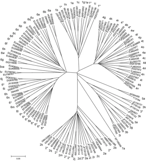 Figura 2: Árvore filogenética contendo genótipos (representados por algarismos arábicos) e  subtipos  (representados  por  letras  do  alfabeto)  do  VHC  (*  subtipo  não  atribuído;  para  os  genótipos 1, 2, 3, 4 e 6) (Fonte: adaptado de SMITH et al., 2