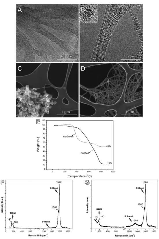 Figure 1. High-resolution transmission electron microscopies (A and B) show morphology and few defects in walls of single-wall carbon nanotubes (CNTs) following purification process