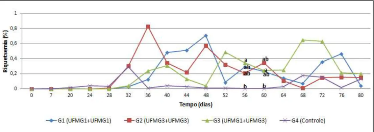 Figura 7: Dinâmica das riquetsemias durante o tempo de avaliação dos efeitos pós-vacinais (0 a 80 dias do  experimento)