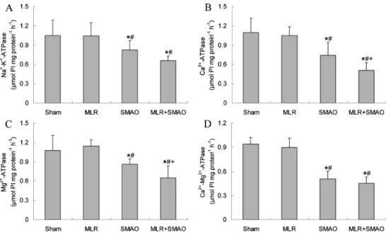 Figure 4. Effect of mesenteric lymph reperfusion (MLR) on the adenosine triphosphatase (ATPase) activity in splenic homogenate of rats with superior mesenteric artery occlusion (SMAO) shock