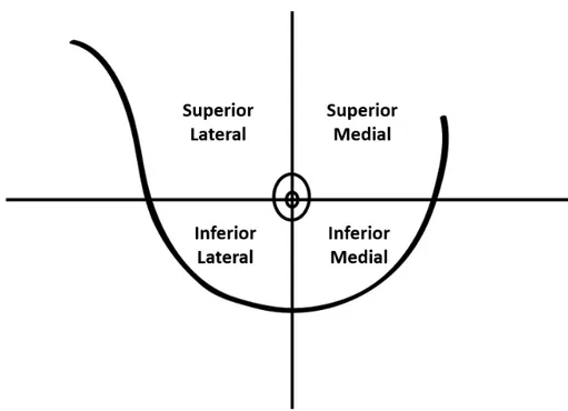 Figura 2.1 – Representa¸c˜ ao dos quadrantes superior lateral e medial e inferior lateral e medial da mama.