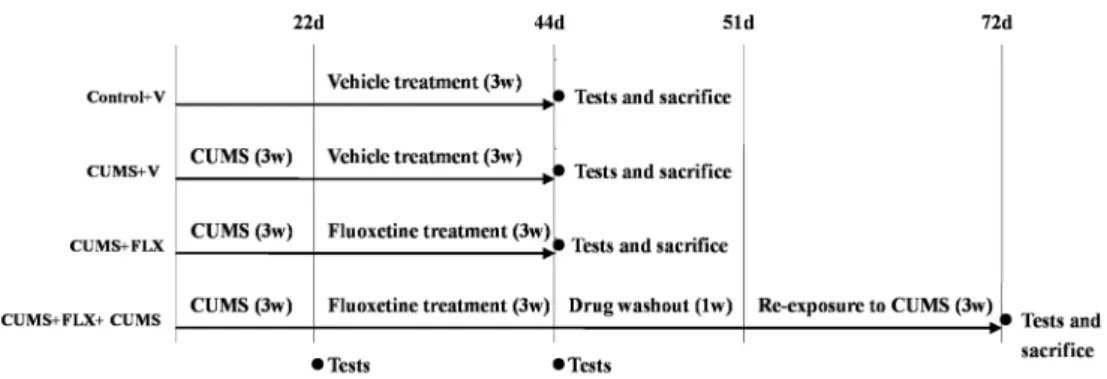 Figure 2 shows the sucrose preference in the four groups of rats during the experimental period