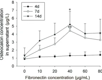 Figure 8. 3 H-proline incorporation test showing that ﬁ bronectin up-regulated the collagen synthesis of ﬁ broblasts