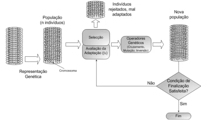 Figura 11 – Esquema funcional de um AG 