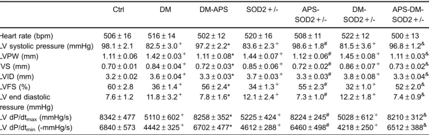 Table 1. Astragalus polysaccharides (APS) rescued cardiac dysfunction in diabetic mice at 24 weeks.
