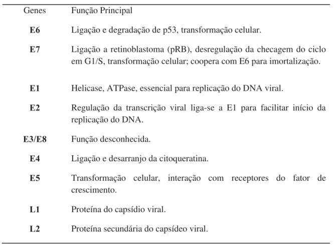 Tabela  1.  Característica das regiões gênicas do Papilomavírus Humano e suas  principais funções no hospedeiro
