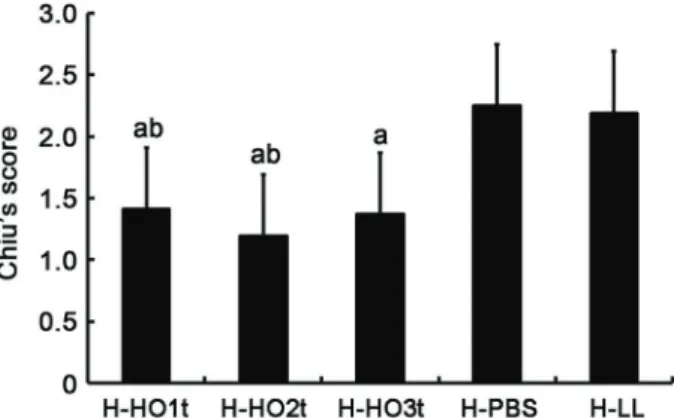 Figure 5. Chiu’s score of hemorrhagic shock (H) rats treated with Lactococcus lactis expressing heme oxygenase-1 once (HO1t), twice (HO2t) or thrice (HO3t) or with phosphate-buffered saline (PBS) and L