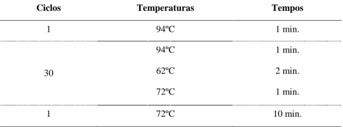 Tabela 4.1. Ciclos, temperaturas e tempos utilizados no ensaio 16S rDNA. 