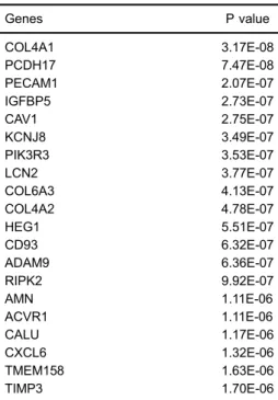 Table 1. List of the top 20 differentially expressed genes (DEGs). Genes P value COL4A1 3.17E-08 PCDH17 7.47E-08 PECAM1 2.07E-07 IGFBP5 2.73E-07 CAV1 2.75E-07 KCNJ8 3.49E-07 PIK3R3 3.53E-07 LCN2 3.77E-07 COL6A3 4.13E-07 COL4A2 4.78E-07 HEG1 5.51E-07 CD93 6