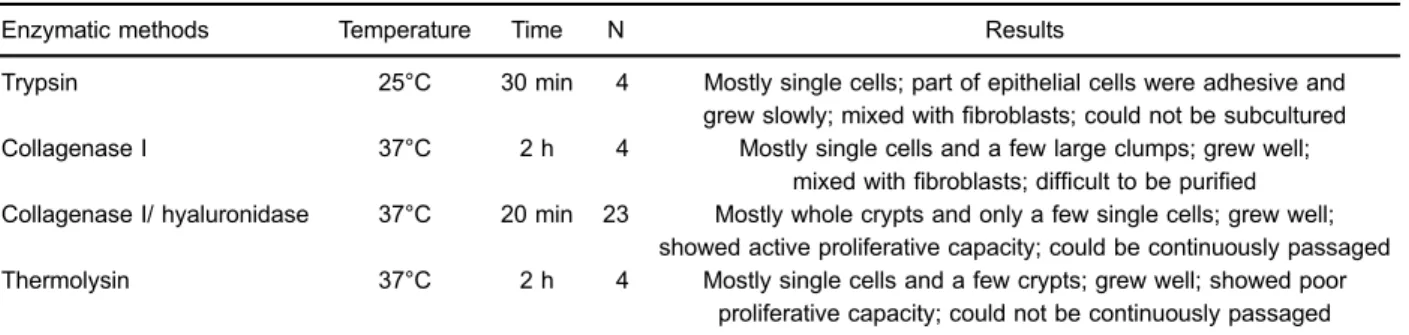 Table 2. Effect of different enzymatic methods on isolated mouse intestinal epithelial cells.
