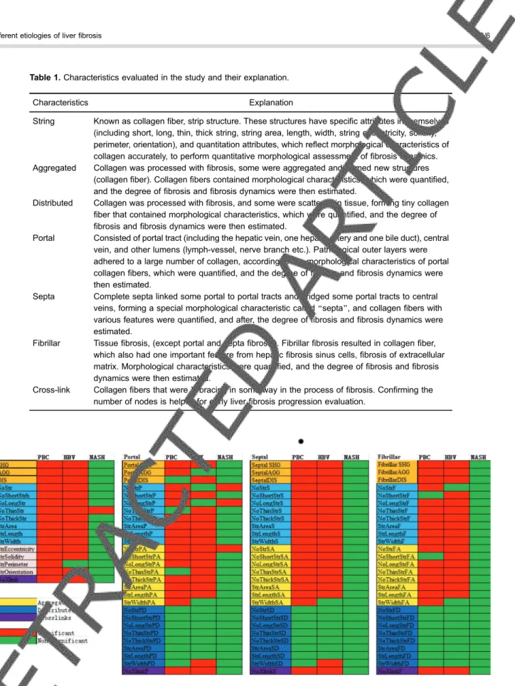 Table 1. Characteristics evaluated in the study and their explanation.