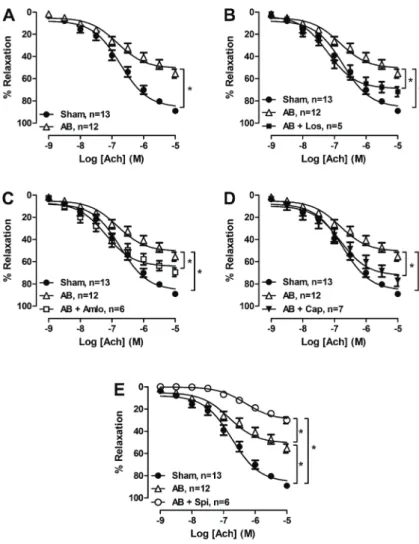 Figure 2. A, Effect of acetylcholine (Ach) on the vasorelaxation in aortic rings from rats that underwent aortic banding (AB)