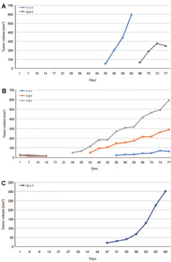 Figure 1. Representative tumor volume (mm 3 ) growth curve of an animal with two P1 patient-derived tumor xenograft (PDTX) tumors established from 010026 lung cancer (A), an animal with three P1 PDTX tumors from 010027 liver cancer (B), and an animal with 