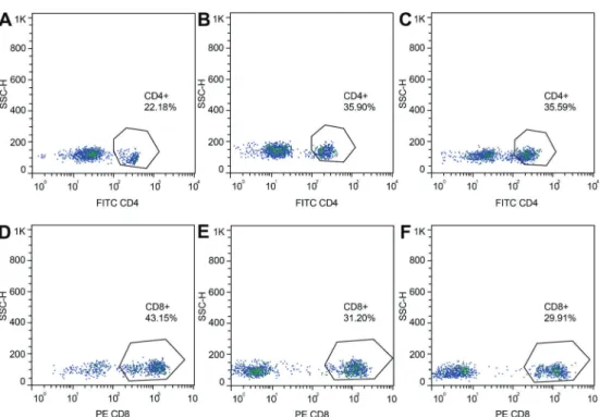 Figure 5. Percentages of CD4 + lymphocytes in the spinal tuberculosis experimental group (A), in the sham-operated group (B), and in the blank group (C)
