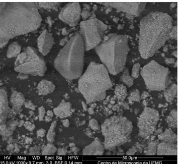 Figura 12: Imagem do material RPC5 por microscopia eletrônica de varredura (MEV). 
