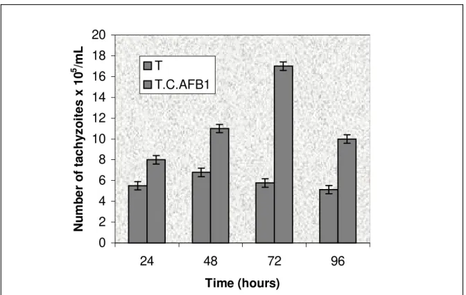 Figure 2. Effect of the association of citrinin and aflatoxin B 1  on the proliferation of the Toxoplasma gondii in a culture of macrophages at different time intervals, where the tachyzoites were previously exposed to 0.01 µg/mL of CTR associated with 0.0