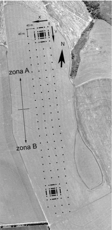 Figura 1. Ortofoto da área de estudo e esquema das grades de amostragens adotadas.