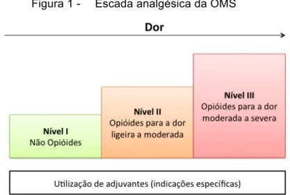 Figura 1 -   Escada analgésica da OMS 