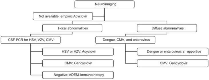 Figure 2. Possible etiologies according to the neuroimaging result. Neuroimaging usually shows non specific abnormalities but CT or MRI lesions may be extremely useful to guide the laboratorial investigation that may precisely establish the etiologic diagn