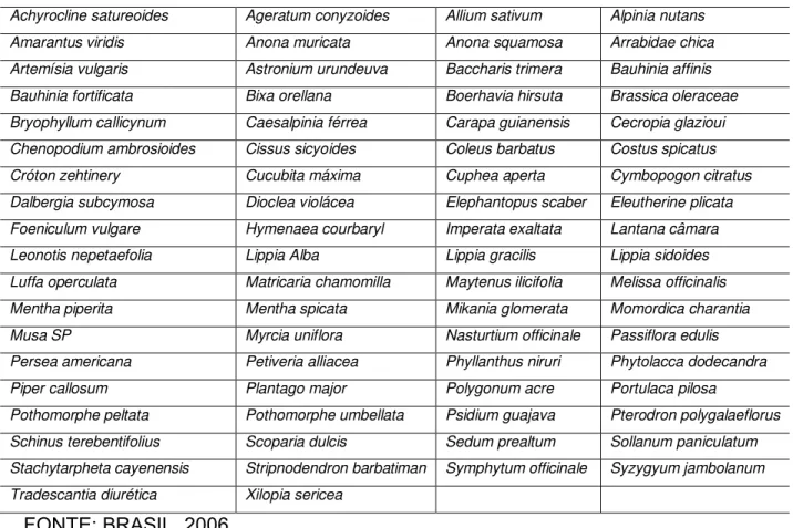 Tabela 1  – Elenco das espécies vegetais selecionadas para estudo na CEME. 