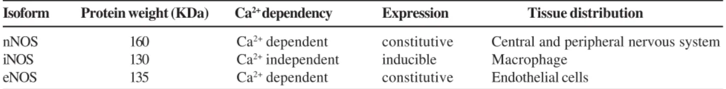 Table 2. Chromosomal localization of nNOS, iNOS and eNOS sequences. (Mayer, 1998; Xu &amp; Liu, 1998).