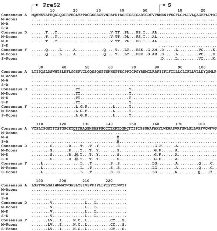 Figure 1. Differences in amino acid sequence alignment of M and S regions between constructed plasmids and a consensus sequence of genotype A