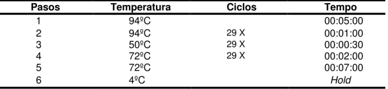Tabela 7: Condições da PCR utilizadas para amplificar a ORF FnBPA do plasmídeo  pOri23 pertencente à linhagem L.lactis invasiva