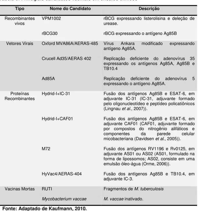 Tabela 3: Principais candidatos vacinais em ensaios clínicos 