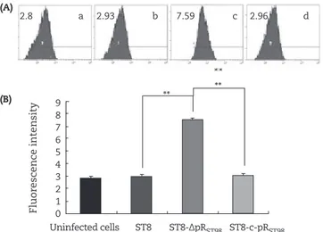 Fig. 3 - Assessment of macrophage cell death by flow  cytometry. (A.a) Uninfected cells