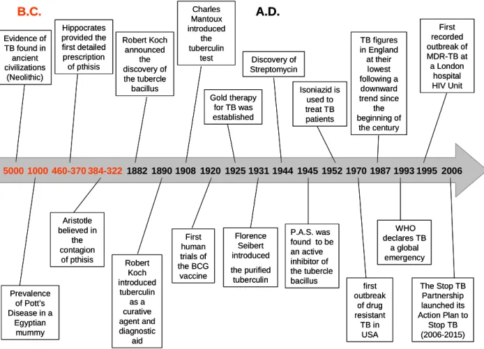 Figure 1. Time-line of TB.  Some of the most important events that occurred in the history of TB  until the present time (sources: Daniel, 2006; Di Perri and Bonora, 2004; Dietrich et al., 2006; Murray,  2004; Myers, 1967; Nerlich et al., 1997; Sakula, 198