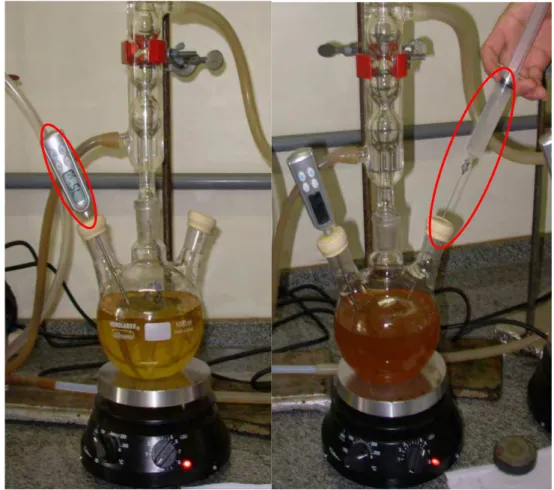 Figura 10: Sistema montado para preparação do biodiesel e introdução do catalisador. 
