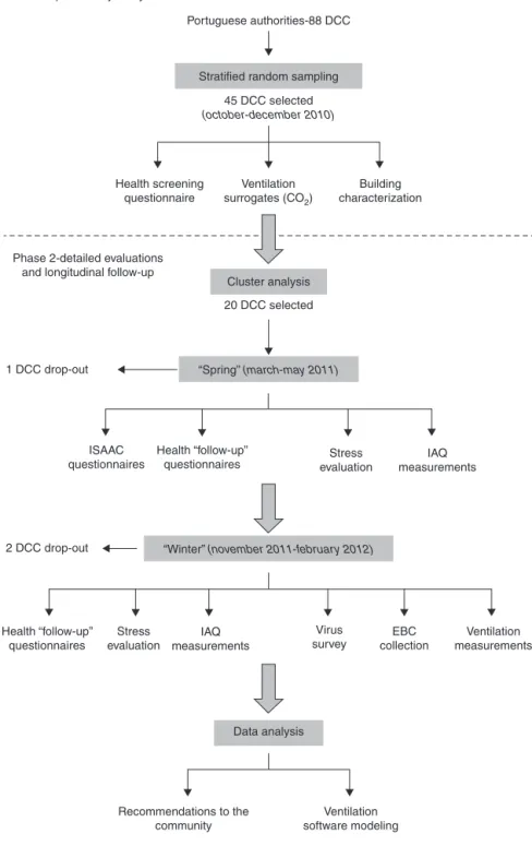 Figure 1 Study protocol.