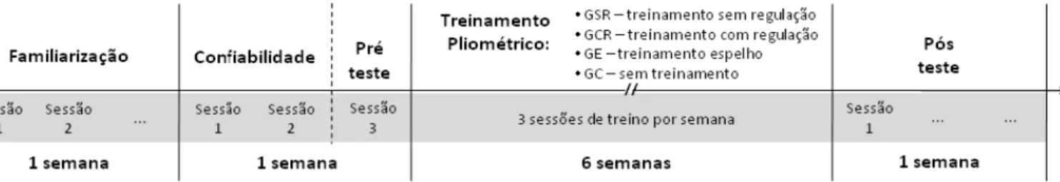 FIGURA 1. Delineamento Experimental 2.3 Protocolos de Testes