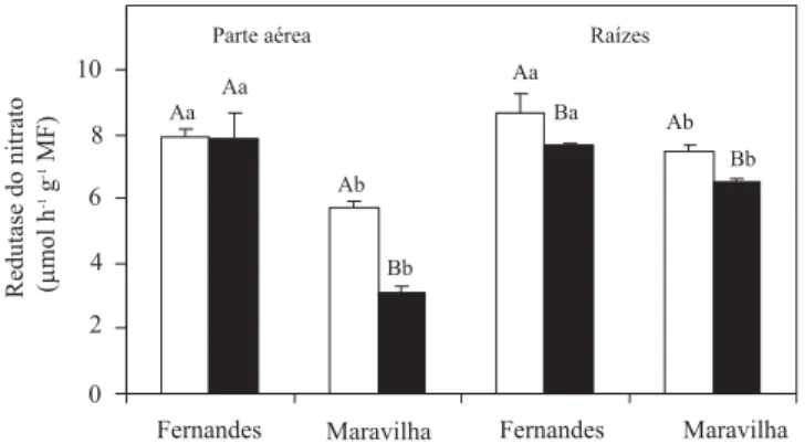 Figura 1.  Efeito do alumínio sobre a atividade in vitro da redutase do nitrato, em duas cultivares de arroz, em solução nutritiva, pH 4