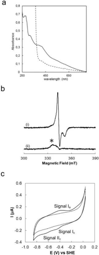 Figure 4.  The Di-Nase of Mrp ORP  binds a 3Fe4S cluster. (a) UV-visible absorption spectra of the anaerobically  purified Di-Nase domain of Mrp ORP  protein isolated from DvH before (solid line) and after reduction by  addition of sodium dithionite (dashe