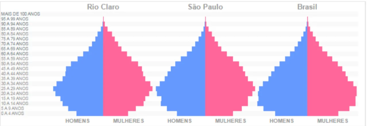 Figura  7  -  Distribuição  da  população  de  Rio  Claro-SP  de  acordo  com  sexo,  segundo as faixas etárias comparadas ao estado de São Paulo e Brasil (IBGE,  2010)