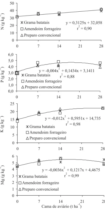 Figura 1. Teores de nitrogênio, fósforo, potássio e magnésio no tecido foliar de feijão-vagem, cv